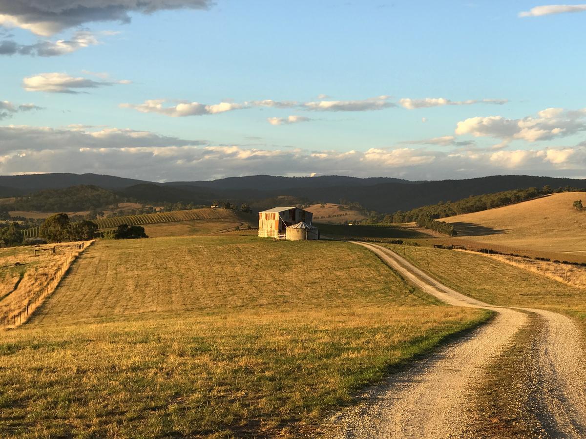 יארה גלן The Studio - Yarra Valley מראה חיצוני תמונה